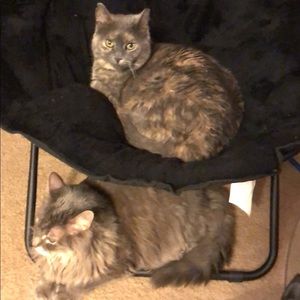 Meet your Posher, Jess